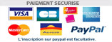 icone paypal