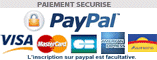icone paypal