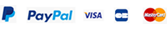 icone paypal