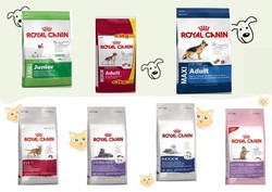 Alimentation chat et chien - MAFRA POINT VERT