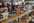 Le magasin