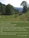 L'h�tel des Sources et la Nature - HOTEL DES SOURCES**