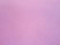 Papier peint Casadeco uni fushia - Papier peint ambiance Addo/enfant - JHP DECO