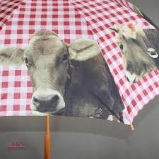 PARAPLUIE - STYLES DECORATION