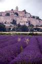 C�reste - Marseille - Avignon - Mont Ventoux - CARS FERRY