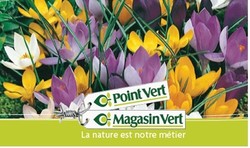 Les bulbes - MAFRA POINT VERT