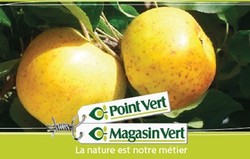 La taille et les soins des fruitiers - MAFRA POINT VERT