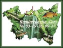 Logo du commer�ant